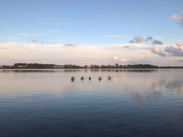 PhD ‘Must-knows’ from attending the Big Data Centre for Environment and Health (BERTHA) Summer School